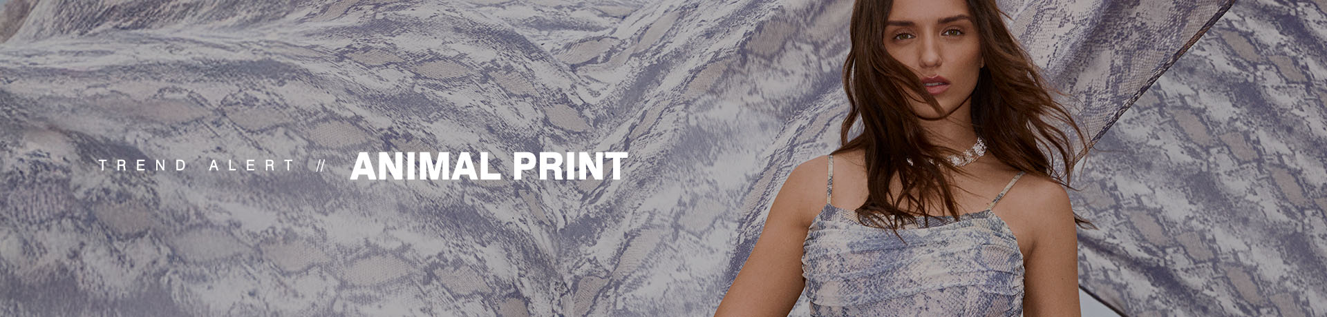 banner animal print